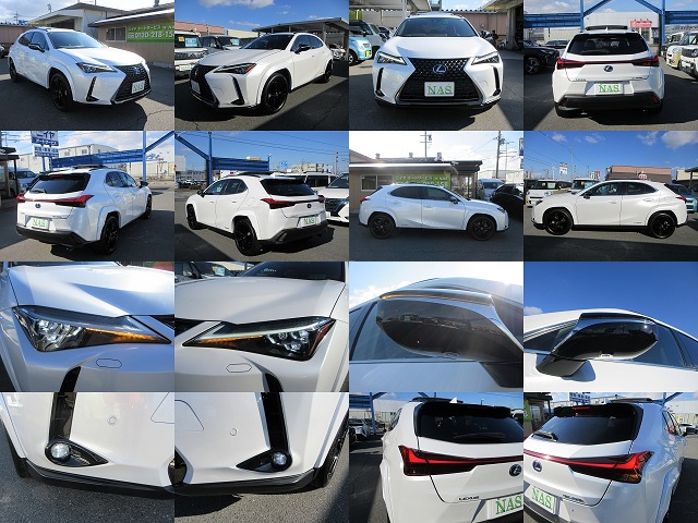 ����å��ǲ�����ɽ��