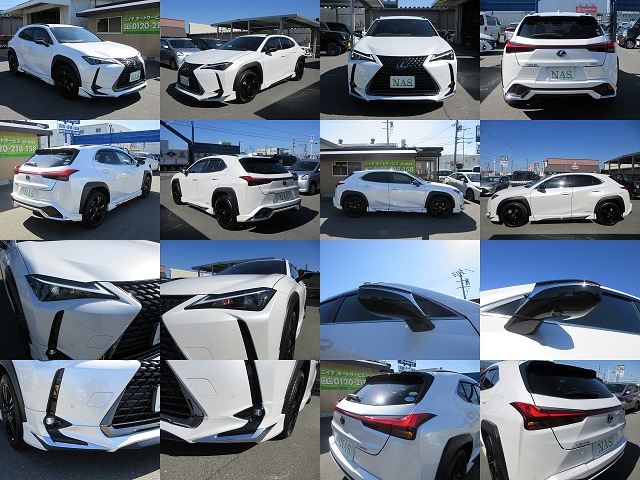 ����å��ǲ�����ɽ��